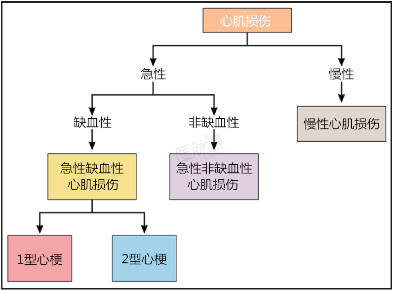 白皮书:2型心肌梗死和急性非缺血性心肌损伤的评估和治疗